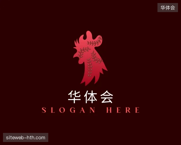 解读华体会官方网站